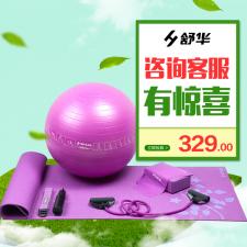 舒华瑜伽球瑜伽砖拉力带织带拉力管瑜伽垫瑜伽垫健身球瑜伽套装